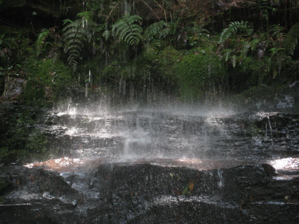 Sendero de las Cascadas 